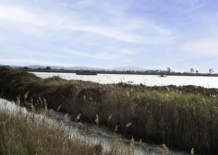 Apartman Canopy By Interhome